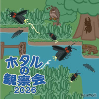 ホタルの観察会2026
