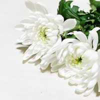 「機動戦士ガンダムX」脚本家・川崎ヒロユキさん、死去 享年60