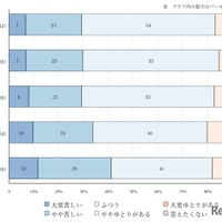 思春期の子供のいる家庭の主観的経済状況