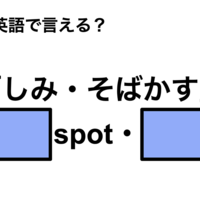 英語で「しみ・そばかす」は何て言う?