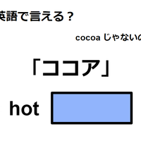 英語で「ココア」は何て言う？