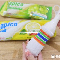 パピコと専用「パピコセーター」（C）モデルプレス