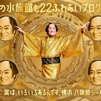 マツケンまみれまみれ島 夏の陣／提供画像