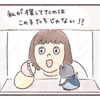 同じ誕生日、同じケースにいた2羽のインコ。偶然の出会いから始まるインコとの暮らし【うちのインコたちは今日もおしゃべり #１】