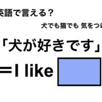 英語で「犬が好きです」は何て言う?