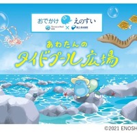 出張水族館「おでかけえのすい」(c)ENOSHIMA AQUARIUM