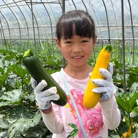 収穫体験のようす