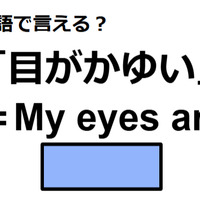 英語で「目がかゆい」は何て言う?