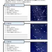 肉眼観察シート