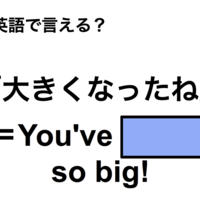 英語で「大きくなったね」は何て言う？