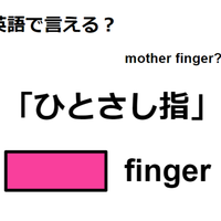 英語で「ひとさし指」は何て言う?