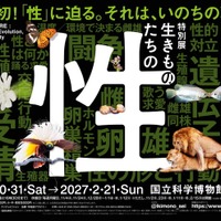 メインビジュアル／提供画像