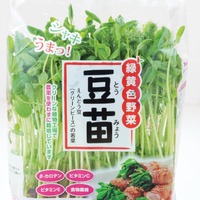 その豆苗、本当に新鮮? プロが教える「おいしい豆苗」の見分け方と長持ちさせる保存術
