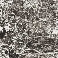 市川孝典、個展「FLEETING DAYS」10月7日より渋谷・NONLECTURE book/artsで開催