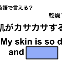 英語で「肌がカサカサする」は何て言う？