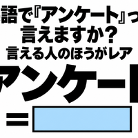 英語で「アンケート」って言えますか?言える人のほうがレア
