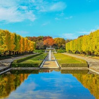 国営昭和記念公園／提供画像