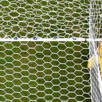 GKがゴールネットに突き刺さる！ELでの「衝撃シーン」がこれ