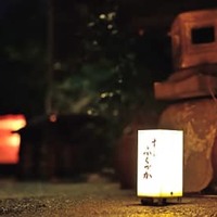 神楽坂の人気鮨店は「バーのような仄暗さが逆に落ち着く」と大人たちの間で話題！