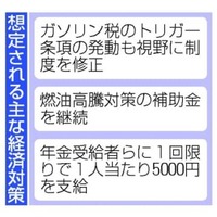 想定される主な経済対策