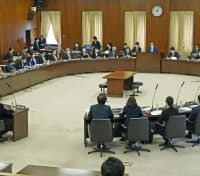 実質討議を行った参院憲法審査会＝23日午前、国会