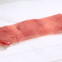 日清食品ホールディングスと東京大学の研究グループが共同で作成した「食べられる培養肉」（同社提供）