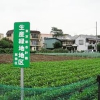東京都板橋区の「生産緑地」（国交省提供）