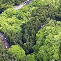 警察などの捜索が続く山梨県道志村の山中＝12日（共同通信社ヘリから）