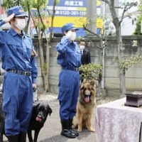 警察犬の慰霊祭で慰霊碑に向かい敬礼する警視庁鑑識課の担当者＝11日午前、東京都板橋区