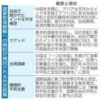 国家安保戦略への明記が検討される外交政策