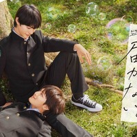 前田拳太郎＆柏木悠「君には届かない。」キービジュアル（C）「君には届かない。」製作委員会