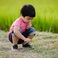 公園でしゃがんで真剣にアリの行列を観察する息子…→次の瞬間、まさかの言葉に「大笑い」「とても可愛らしい」