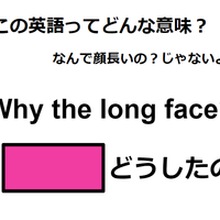 この英語ってどんな意味？「Why the long face?」