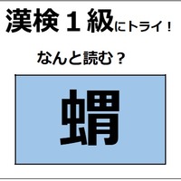 「蝟」の読み方、わかる？「蛸（たこ）」じゃないよ。とてもかわいらしい哺乳動物！【漢字クイズ】