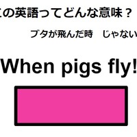 この英語ってどんな意味？「When pigs fly!」