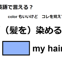 英語で「（髪を）染める」ってなんて言う？