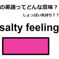 この英語ってどんな意味？「salty feeling」