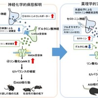 研究手法・研究成果