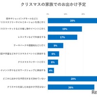 クリスマスの家族でのお出かけ予定