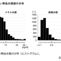 さい帯血水銀の分布（ヒストグラム）