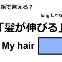 英語で「髪が伸びる」はなんて言う？