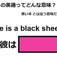 この英語ってどんな意味？「He is a black sheep」