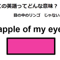 この英語ってどんな意味？「apple of my eye」