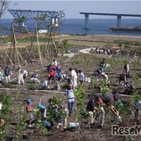 2009年（平成21年）の植樹のようす