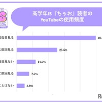 YouTubeの使用頻度