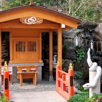 【2025年初詣】「巳」にゆかりのある神社に詣でて財運UP！【オススメ神社13選】#前編