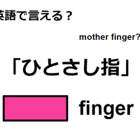 英語で「ひとさし指」はなんて言う？