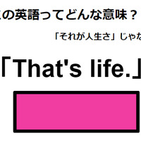 この英語ってどんな意味？「That’s life.」