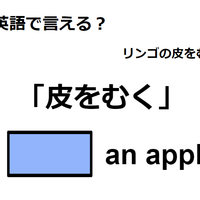 英語で「皮をむく」はなんて言う？