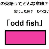 この英語ってどんな意味？「odd fish」